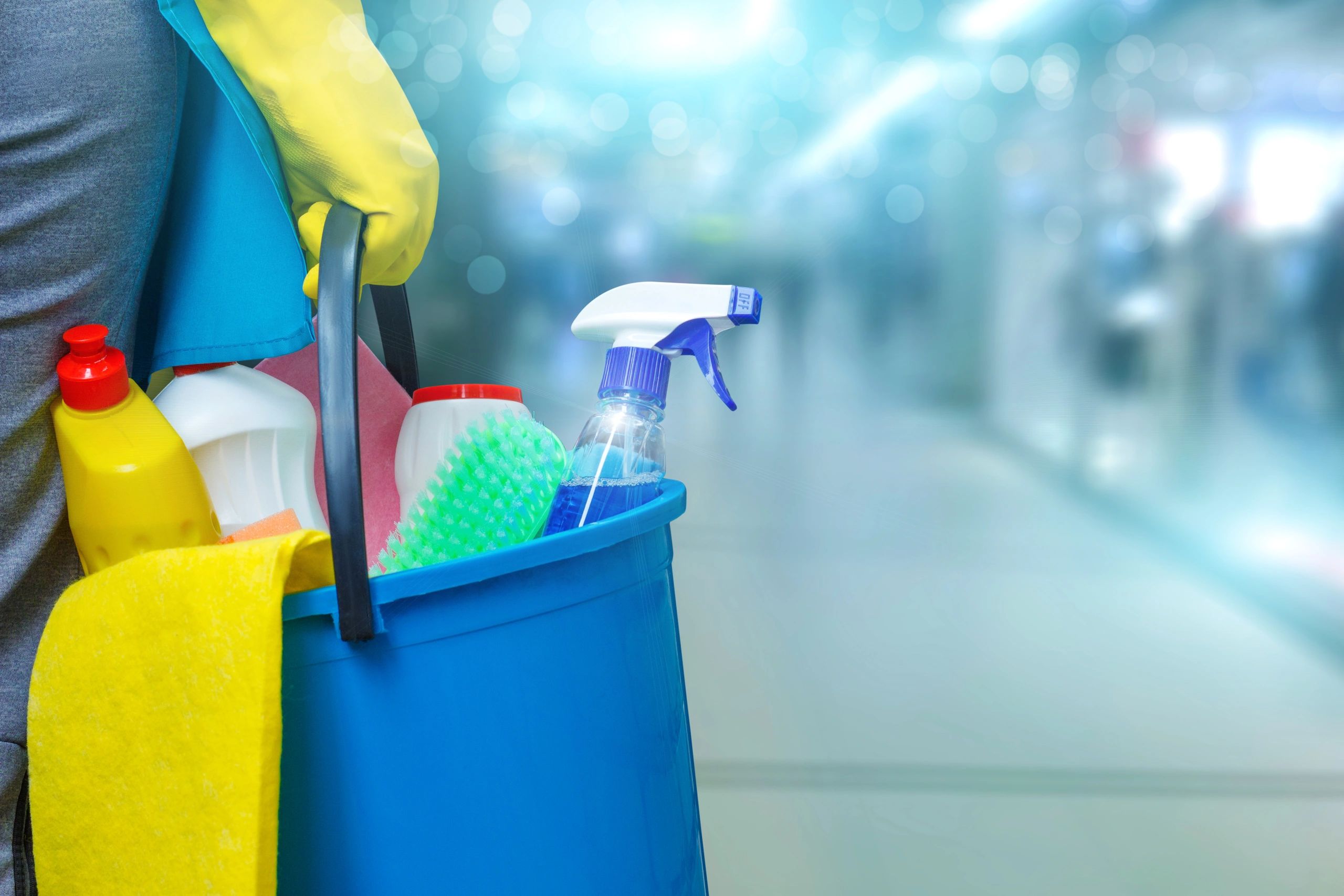 Cleaning lady with a bucket and cleaning products.